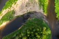 Scenic drone view of the green forest and the river. Beautiful summer landscape. Wild nature. Dry branch dam. Royalty Free Stock Photo