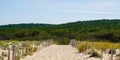 Scenic dunes panorama on bright summer day view on pines forest in Lacanau ocean beach Royalty Free Stock Photo