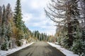 Scenic early spring view with snowy dirt road through the pass, green larch trees, snow and forest on the slopes against