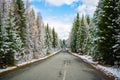 Scenic early spring view with snowy dirt road through the pass, green larch trees, snow and forest on the slopes against