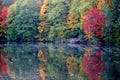 Scenic evening autumn landscape of colorful trees by the lake Royalty Free Stock Photo