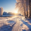 Scenic Fairytale Trees Under the Snow - A Delight for Tourists During the Christmas Holidays