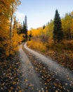 Scenic fall landscape forest rural dirt road Royalty Free Stock Photo