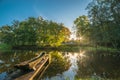 Scenic fall landscape of forest at sunrise