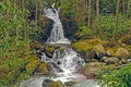 Scenic Falls in the Wild Mountains