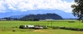 Scenic farm landscape in Skagit valley Washington