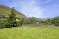 Scenic Farming Fields in Wales