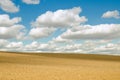 Scenic field and clouds Royalty Free Stock Photo