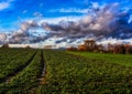 Scenic fine art impressionistic panorama of a rural idyllic landscape in Frankfurt am Main, Germany Royalty Free Stock Photo