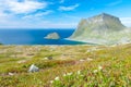 Scenic fjord on Lofoten islands with typical