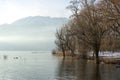Scenic foggy lake with bare trees