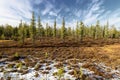 Scenic forest landscape in autumn in the Russian taiga Royalty Free Stock Photo