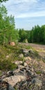 Scenic forest landscape with big stone with green grasses among thickets and trees. Vivid scenery with large boulder.