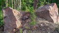 Scenic forest landscape with big stone with green grasses among thickets and trees. Vivid scenery with large boulder.