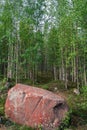 Scenic forest landscape with big stone with green grasses among thickets and trees. Vivid scenery with large boulder.