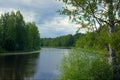 Scenic forest and river