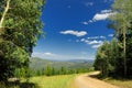 Scenic forest road Royalty Free Stock Photo