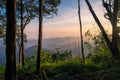 Scenic forest sunrise hill at national park Royalty Free Stock Photo