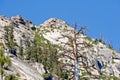 Scenic forested mountainside Royalty Free Stock Photo