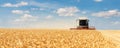 Scenic front view Big modern industrial combine harvester machine reaping gather golden ripe wheat cereal field meadow Royalty Free Stock Photo