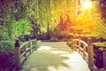 Scenic Garden Bridge Royalty Free Stock Photo