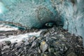 Scenic glacier ice caves with river flowing out from inside Royalty Free Stock Photo