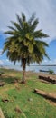 Scenic Godavari river banks in Rajahmundry, Andhrapradesh, India