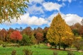 Scenic golden autumnblue sky sunny day landscape. Lagonaki, Russia. Autumn concept