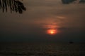 Scenic golden red sunset, Sun partly behind clouds, tropical sky, blurry palm leaves at top of photo Royalty Free Stock Photo