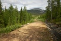 Scenic gravel road through the forest in Lapland