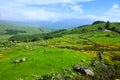 Green hills and fields, Ring of Kerry near Killarney National Park, Ireland Royalty Free Stock Photo