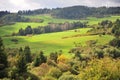 Scenic green hills in Tatras national park