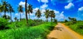 Scenic green paddy fields against the backdrop of coconut trees , Tadepalligudem, Andhrapradesh, India Royalty Free Stock Photo