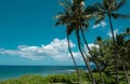 Scenic Hawaiian landscape. Scene Beach on the Island of Maui, Hawaii. Royalty Free Stock Photo