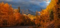 Scenic highway with autumn trees in San juan mountains.