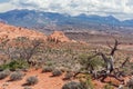 Scenic highway between Petrified Dunes and Fiery Furnace at Arches National Park Utah USA