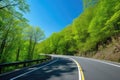 scenic highway winding through forest, with trees and clear blue sky visible