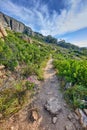 A scenic hiking trail along Lions Head mountain in Cape Town, South Africa against a cloudy blue sky background. A lush Royalty Free Stock Photo