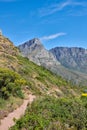 Scenic hiking trail through plants and shrubs along Table Mountain with copy space. Rugged path in nature to explore
