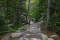 Hiking Trail in Rocky Mountain National Park Royalty Free Stock Photo