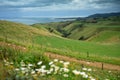 Scenic hills at Manukau Heads in New Zealand Royalty Free Stock Photo