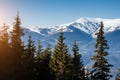 Scenic image of snowy peaks in the sunlight. Location Carpathian national park Royalty Free Stock Photo