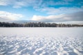 Scenic image of spruces tree. Cloudy blue sky, calm wintry scene. Ski resort. Great picture of wild area. Explore the beauty of