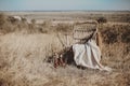 Scenic image of steppe landscape with sunburned grass, dry trees and water narrow stream on background