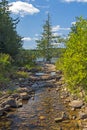 Scenic Inlet on a North Woods Lake Royalty Free Stock Photo