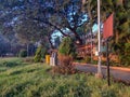 Scenic Inside view of public garden or jogging park, jogging tracks surrounded by green trees and plants, electric pole near the Royalty Free Stock Photo