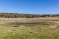 Scenic Kaibab Plateau Meadow Royalty Free Stock Photo