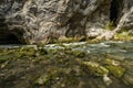 Scenic karst river Rak dissapearing in the cave system in national park Rakov Skocjan in Slovenia Royalty Free Stock Photo