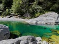 Scenic lagoon with turquoise water of mountain river midst forest