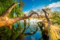 Scenic lake landscape